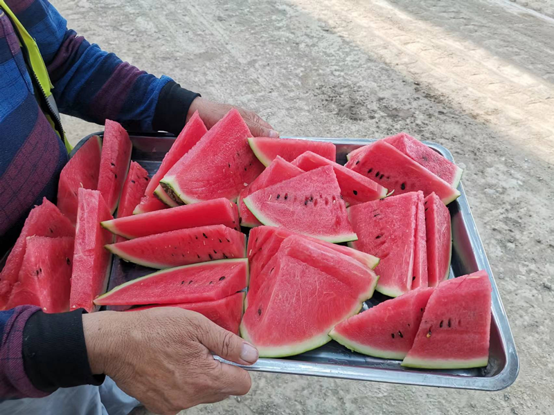 第三區(qū)域項(xiàng)目部開(kāi)展“送清涼”活動(dòng)