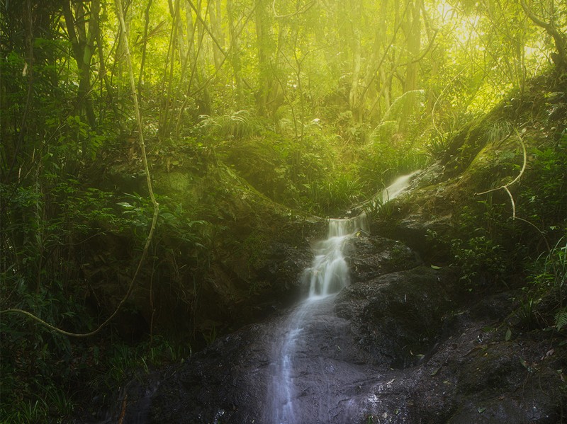 細(xì)水長(zhǎng)流，持續(xù)學(xué)習(xí)，忘我工作，共建臻美臨臨——讀《細(xì)水長(zhǎng)流，忘我工作，重建美麗家園》有感