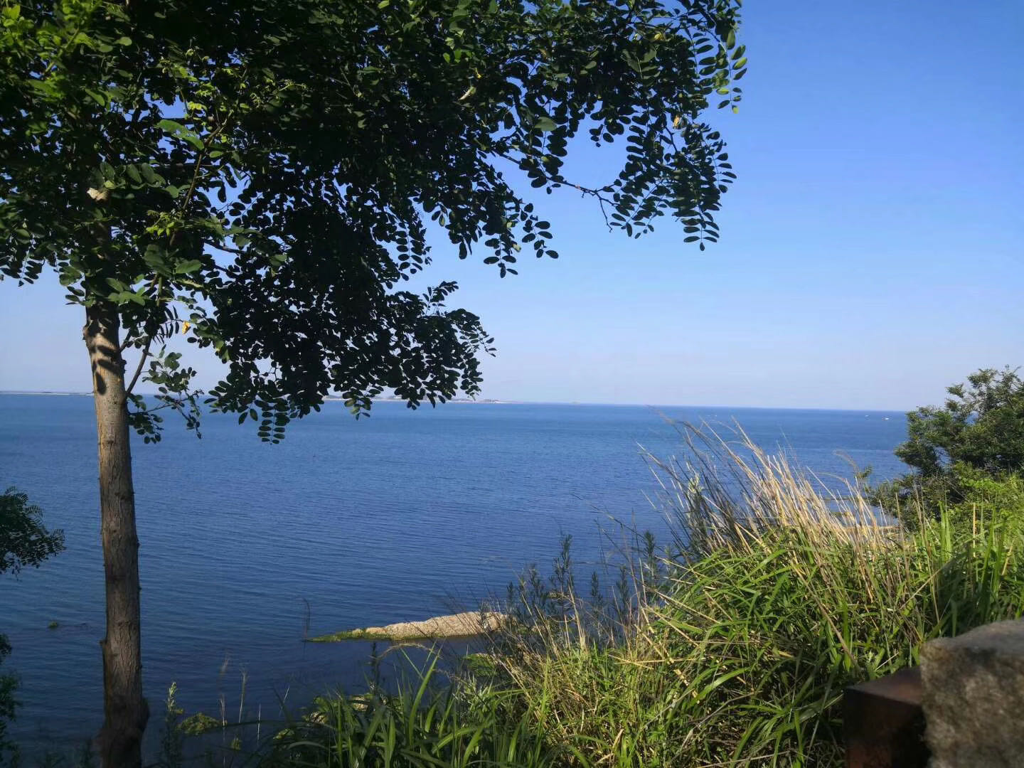 人生之路-不畏艱難，勇往直前