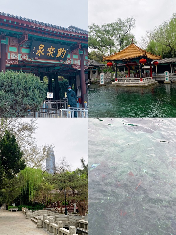 不負春日好時光