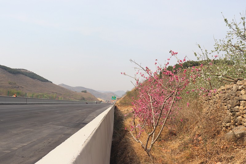 石匣峪2號大橋_副本