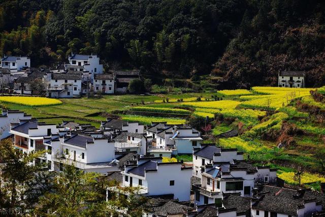 《我的阿勒泰》敲開了心房，心房的最深處有屬于自己的鄉(xiāng)愁