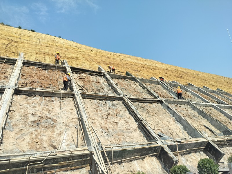 35468ddf3917dae1357a1b316f10786_副本