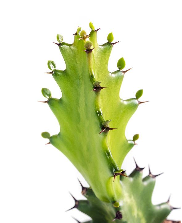 【好文推薦】真正的陽(yáng)光