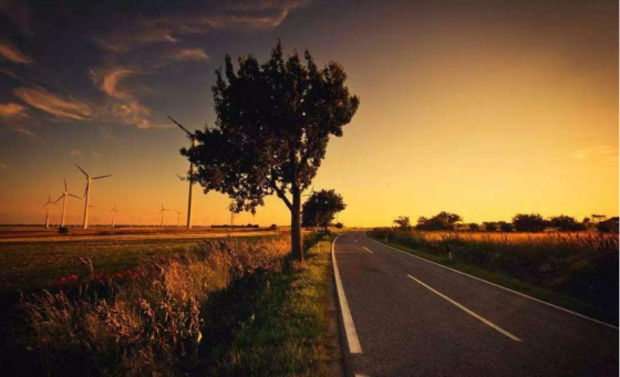 魯中公路我來(lái)了