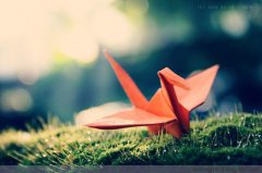 平凡的崗位，不平凡的你