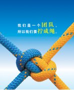 從人力資源部看團(tuán)結(jié)，淺談對團(tuán)隊的理解