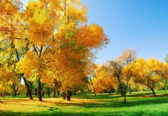 擺正心態(tài)，積極面對