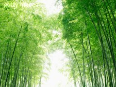 先扎根后成長(zhǎng)!