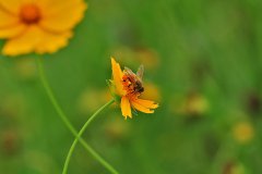 感恩我們的相遇