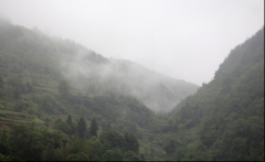 再見(jiàn)，江西！