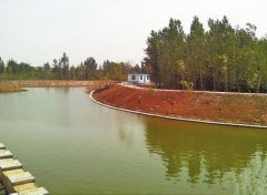 孝婦河畔，我們詩意的生活著