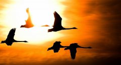 12月，你好！11月，再見！