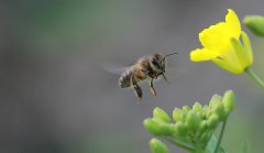 以辛勤勞動(dòng)為榮，以好逸惡勞為恥