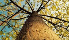 踏踏實(shí)實(shí)的工作