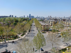 工地寫真：炎炎夏日 共青團路展大干風采