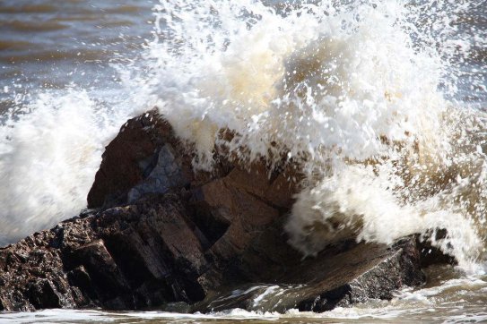 長(zhǎng)風(fēng)破浪會(huì)有時(shí)，直掛云帆濟(jì)滄海