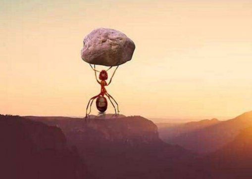 能扛事，不惹事，不怕事！