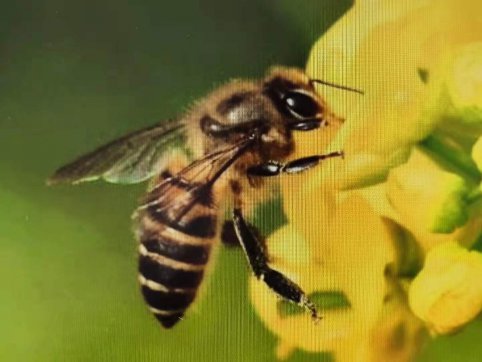 給誰打工？——從“抓作風(fēng) 創(chuàng)效益”想到的