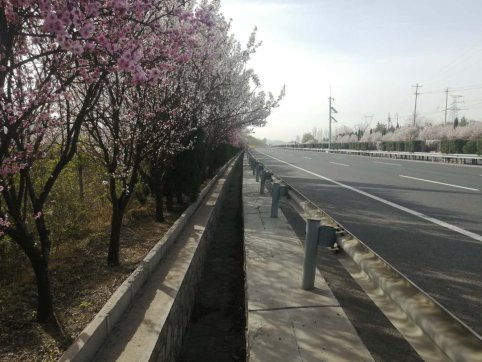 及時當(dāng)勉勵，歲月不待人