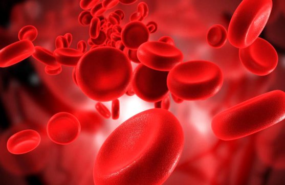 讓品質(zhì)融進(jìn)魯中公路的血液里